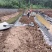 土工膜复合定制鱼塘养殖防渗膜hdpe土工膜