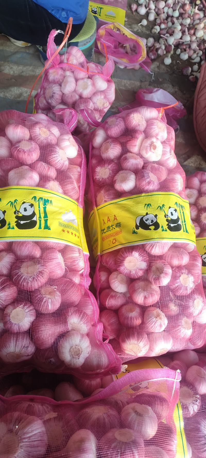 精品云南鲜蒜