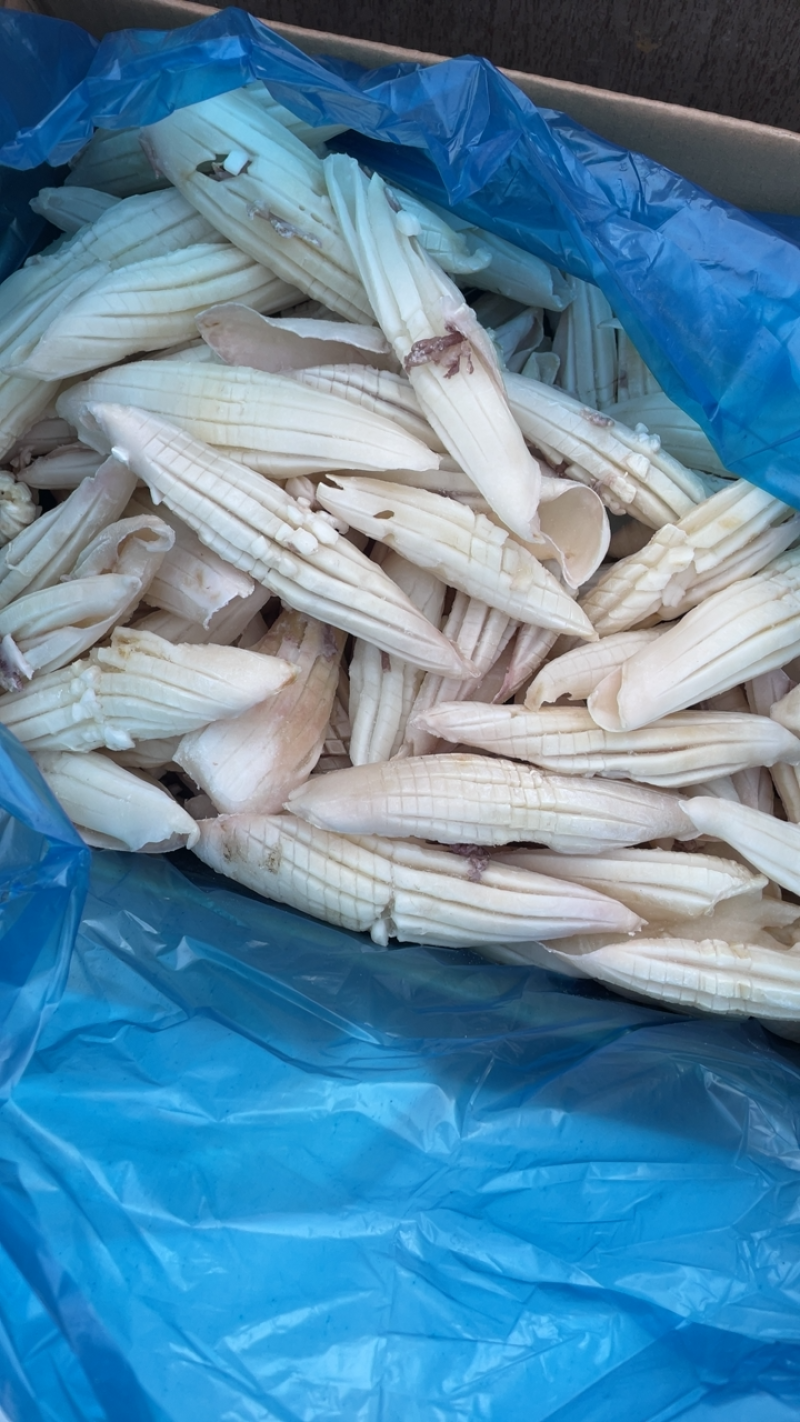 火箭鱿鱼牛角花鱿鱼花冷冻新鲜鱿鱼须铁板烧烤火锅食材海鲜