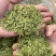 贵州龙井茶无公害食品。纯手工货。产地供货。