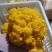 新鲜金耳食用菌常年稳定有货干度好耐存放价格实惠