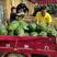 甜王西瓜大量供应中，对接各大平台，各大市场商超市场