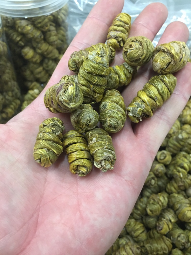 云南铁皮石斛石斛条石斛枫斗石斛花产地货源