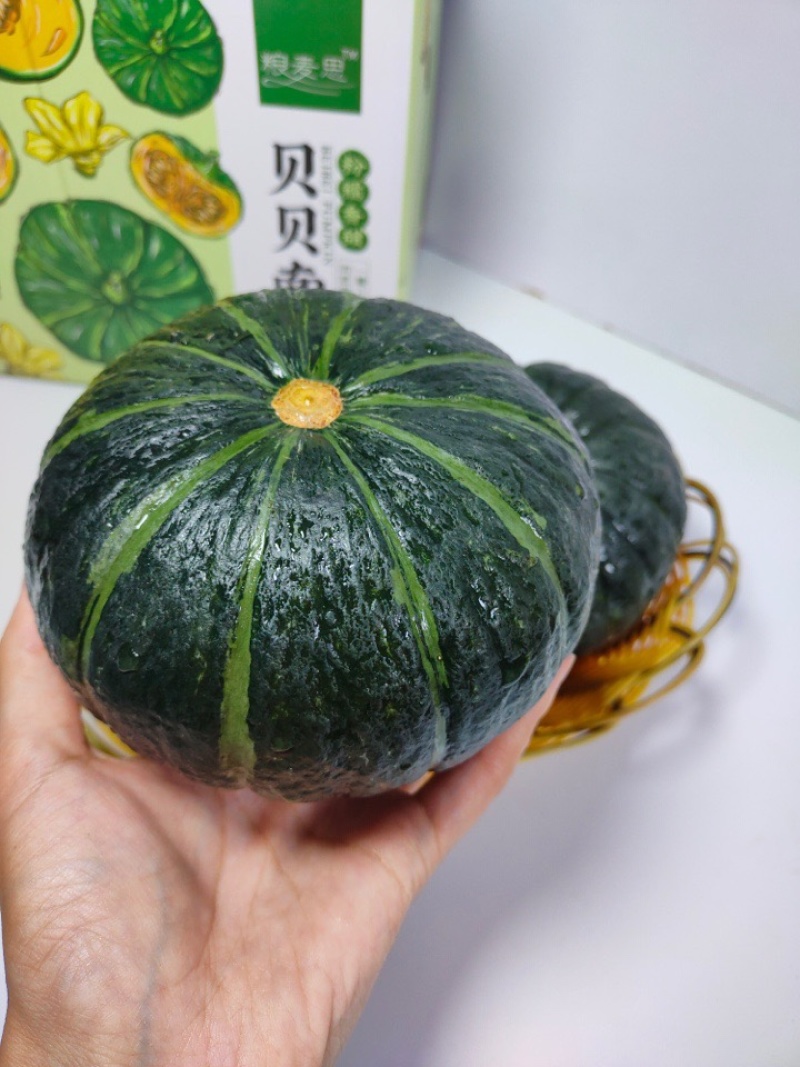 山东迷你贝贝南瓜五斤包邮粉糯香甜一件代发