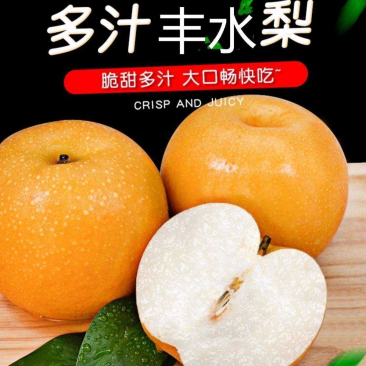 山东冠县丰水梨，大量上市中，支持社区团购，大型批发市场