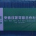 蜜薯苗原种脱毒蜜薯苗通风时间长成活率号各种品种脱毒红薯苗