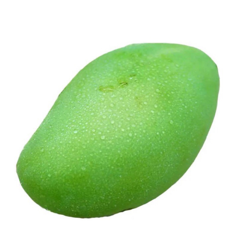 芒果🥭苗，桂七芒果苗、金煌芒果苗、台农芒果苗
