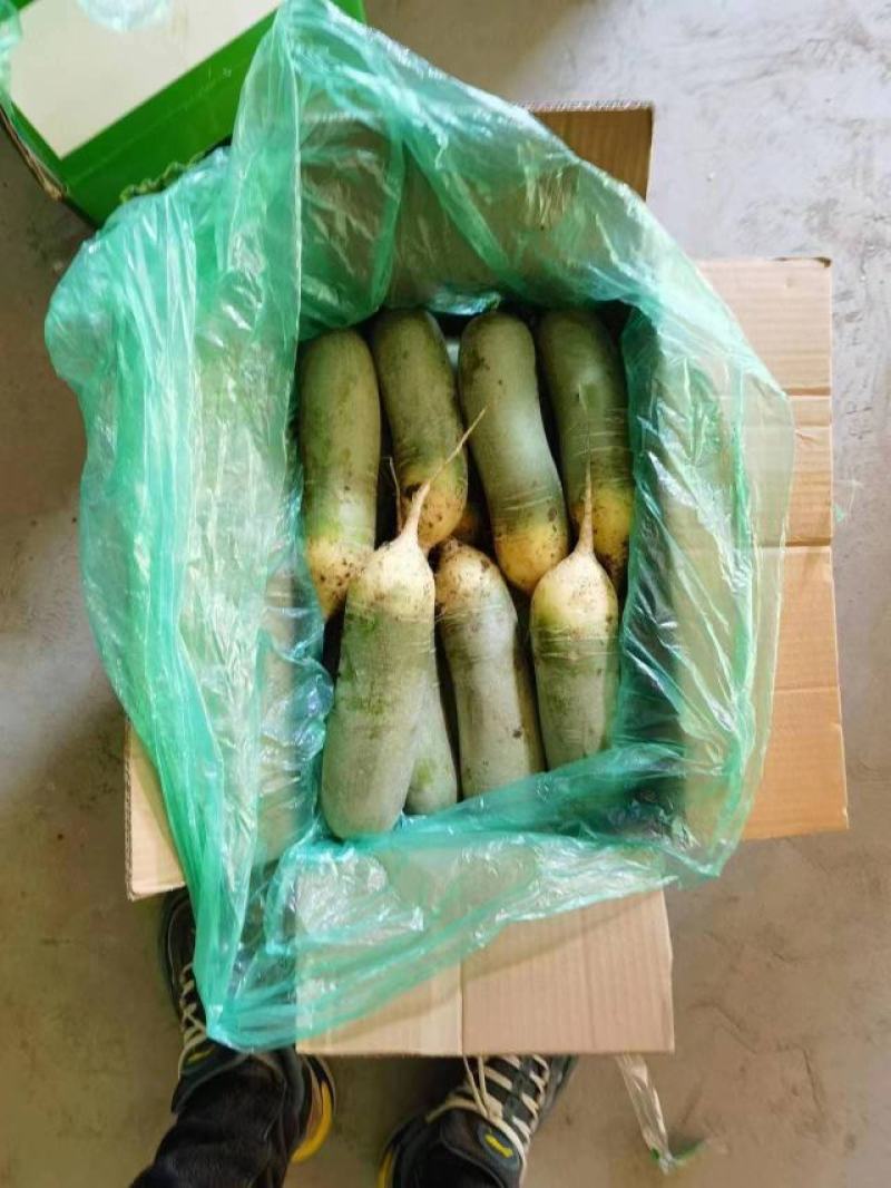 水果萝卜口感脆甜价格便宜，对接电商商超市场批发
