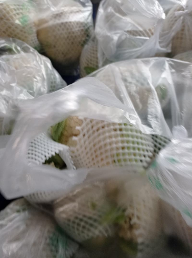 湖北有机花菜青梗散花大量供应产地直发