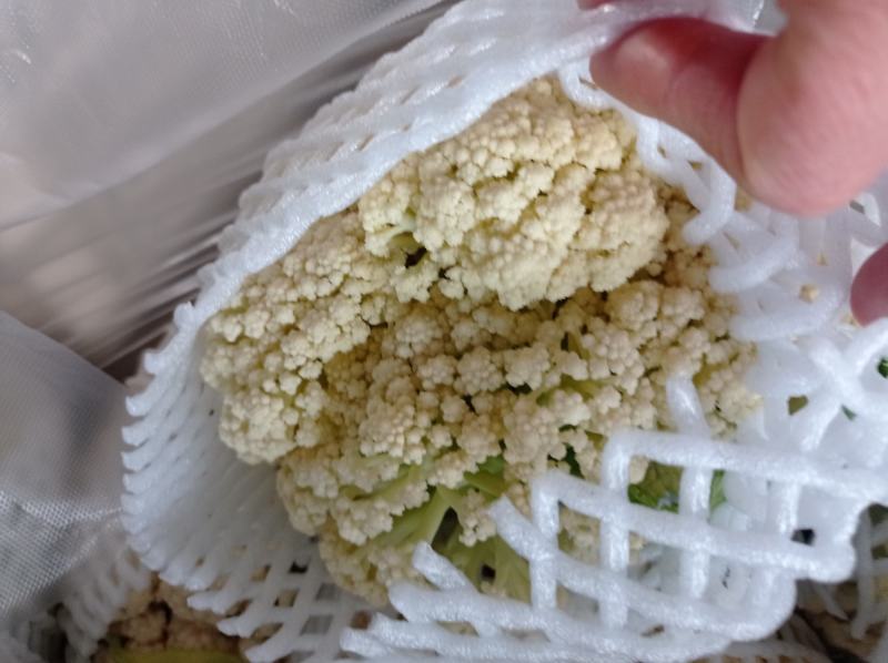 湖北有机花菜青梗散花大量供应产地直发