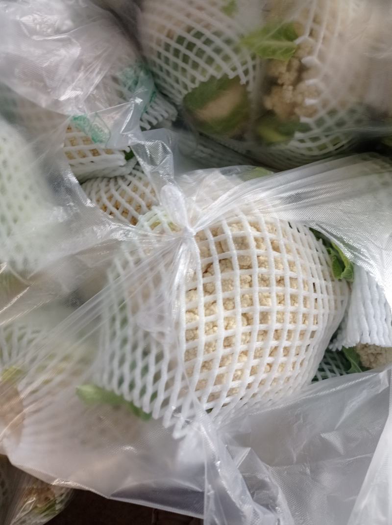 湖北有机花菜青梗散花大量供应产地直发