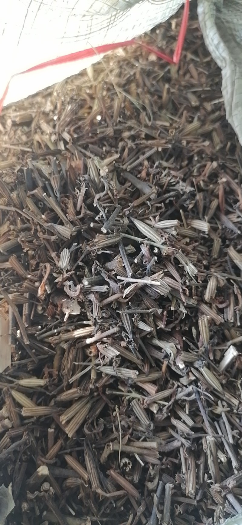 刘寄奴