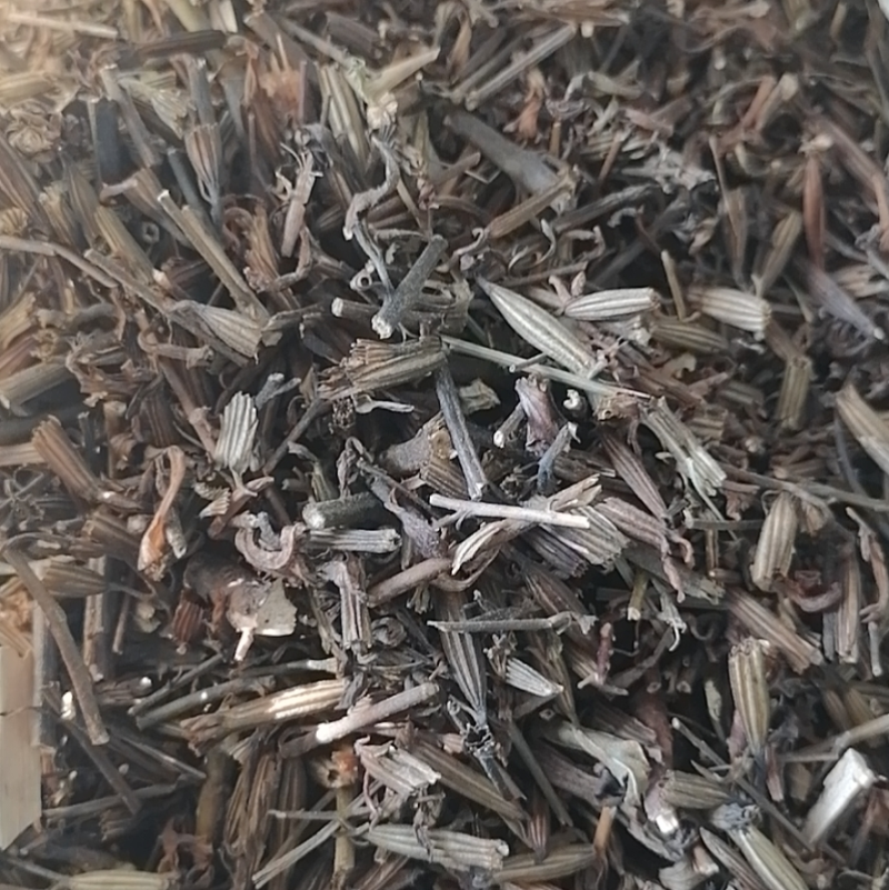 刘寄奴