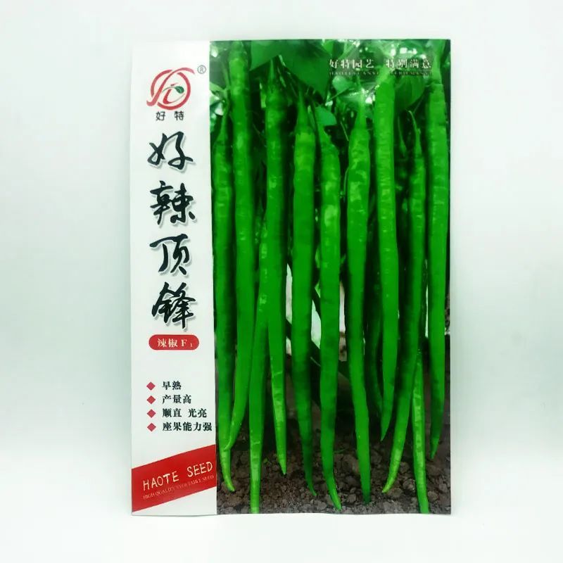 辣椒苗线椒苗常年出售线椒苗量大从优诚信第一