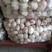 邳州精品白蒜，产地货源，对接大型批发商，欢迎来电