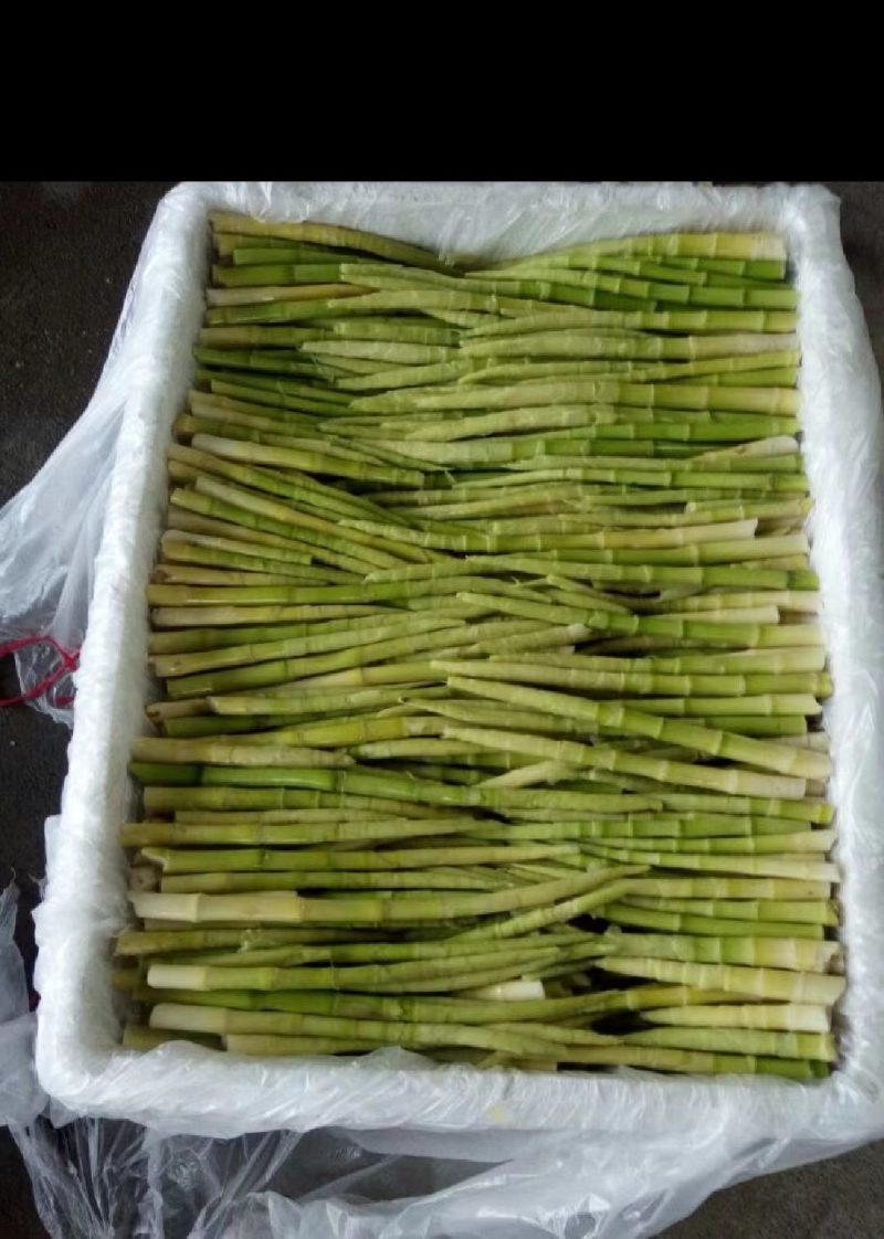 【荐】小竹笋甜竹笋品质好价格低来电视频看货