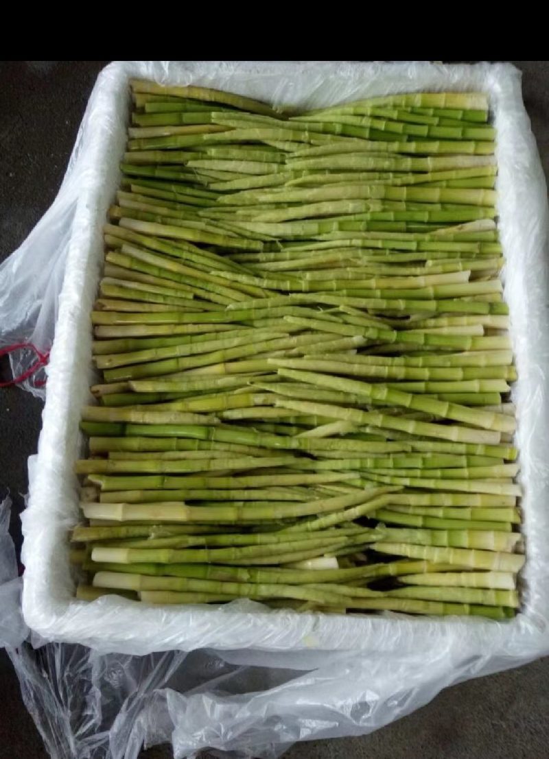 【荐】小竹笋甜竹笋品质好价格低来电视频看货