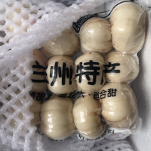高品质12头