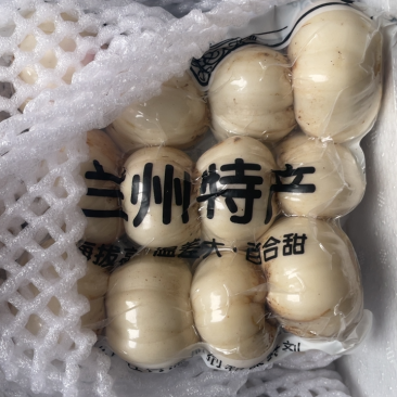 高品质12头