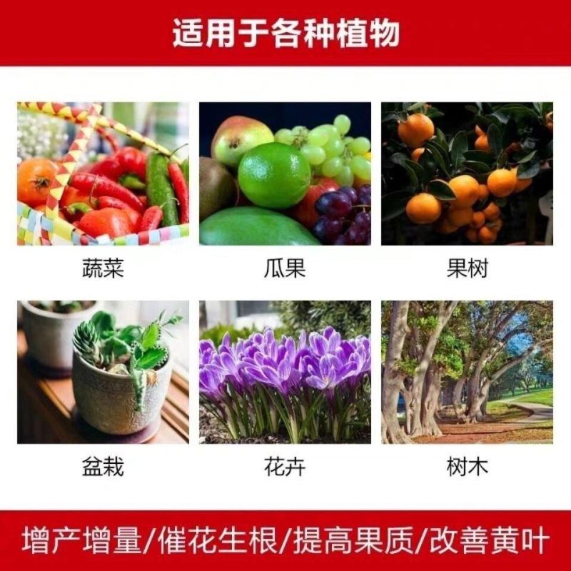 罗布泊硫酸钾颗粒硫酸钾水溶肥农用钾肥小颗粒速溶全水溶包邮