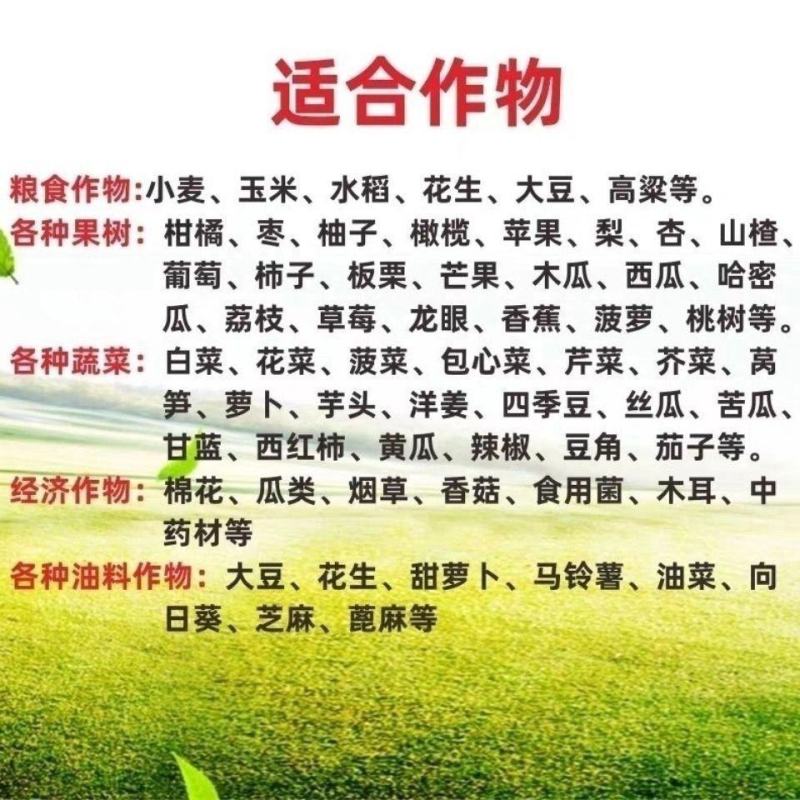 罗布泊硫酸钾颗粒硫酸钾水溶肥农用钾肥小颗粒速溶全水溶包邮