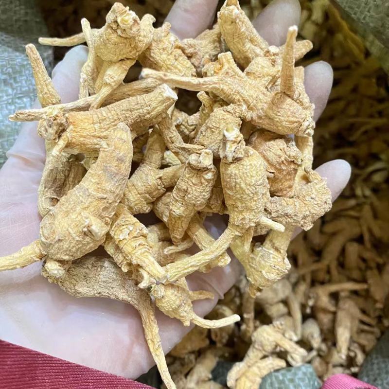 2/3克西洋参短支，粒头，纯干货，圆粒长白山直发