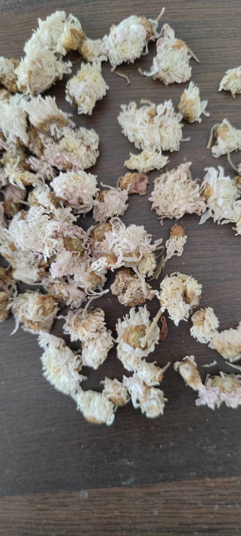菊花怀菊花现货供应批发各种中药材