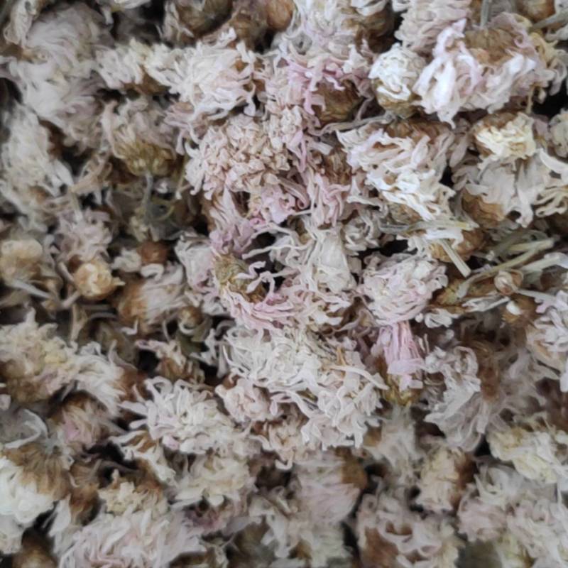 菊花怀菊花现货供应批发各种中药材