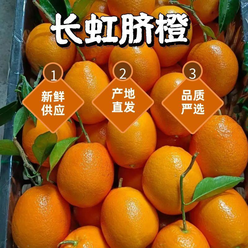 长虹脐橙果园看货定货，电商社团，商超，外贸出口，市场