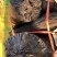【牛商推荐】灵山荔枝炭果木炭大量有货产地直发价格可谈