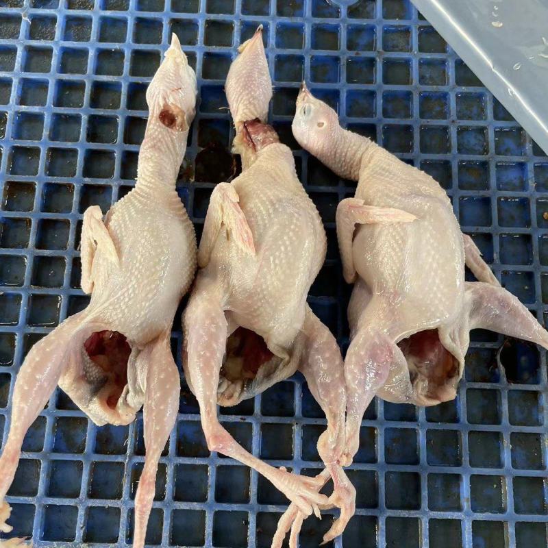 大量鹌鹑肉白条一手货源，质量保证，对接市场商超饭店电联