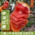 中华红橙，血橙红心橙电商，社团，市场等大型批发