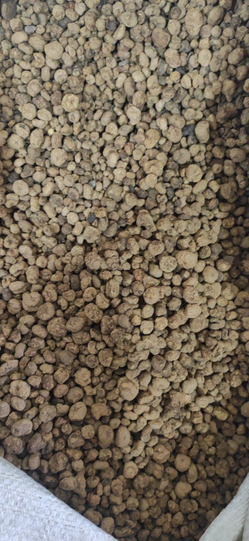 延胡索干货元胡玄量大从优！欢迎选购！