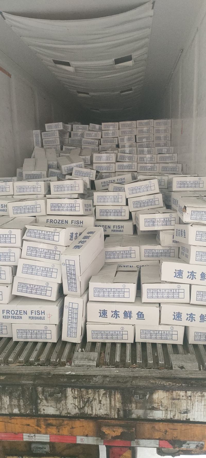 鲳鱼刀鲳鱼燕鱼双板板冻单体速冻今年新鱼
