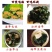 包饭海带，社区团购热品…裙带菜，鲜海带全系列