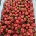 粒粒珍珠粒粒红伴你发财又顺风今有田东黄金果找我田姐没得错