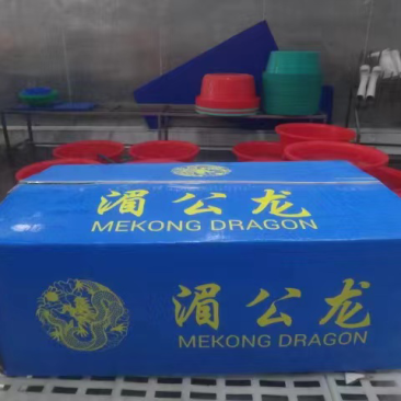 厂家直销巴沙鱼柳