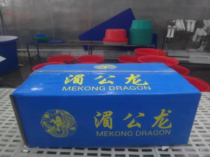厂家直销巴沙鱼柳