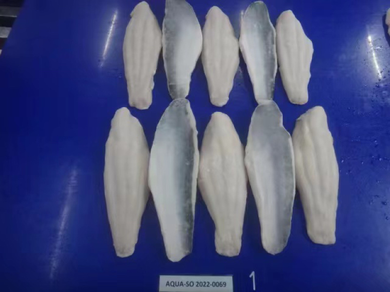 厂家直销巴沙鱼柳