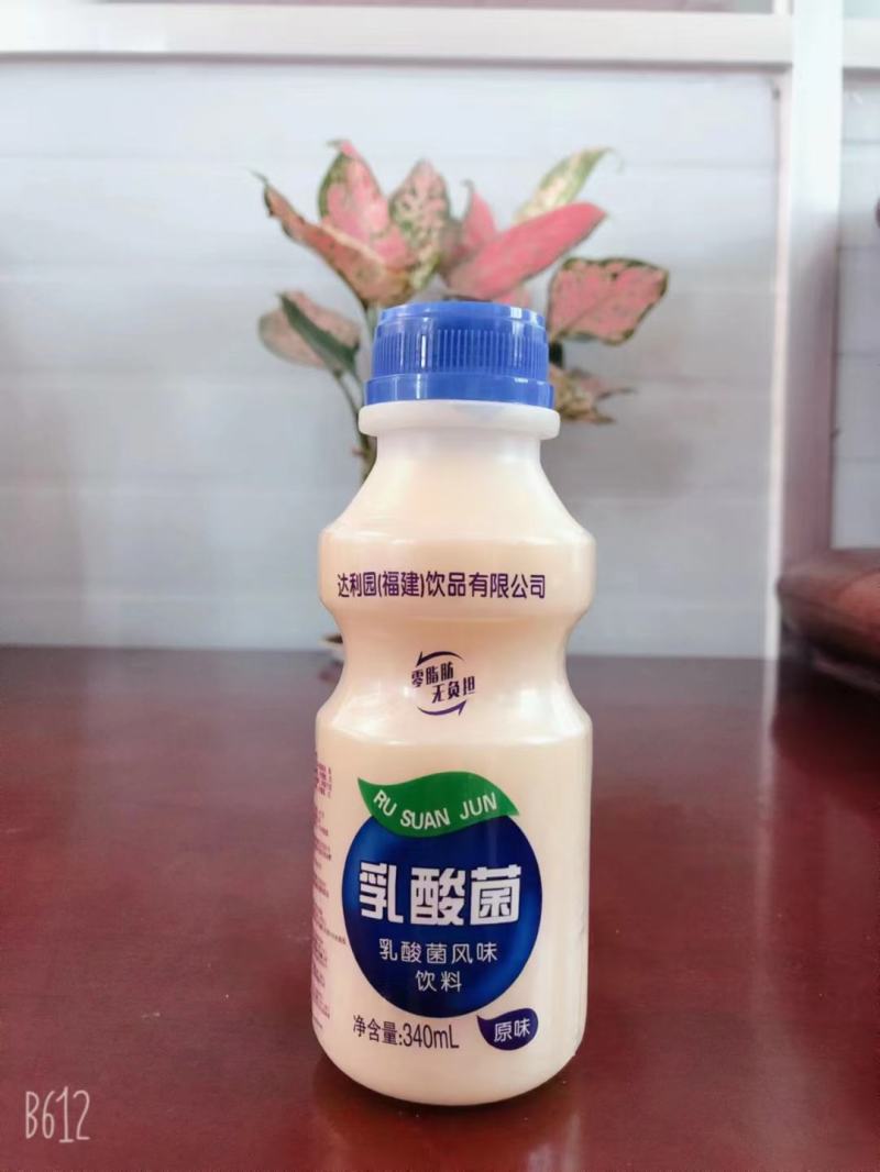 达利园乳酸菌