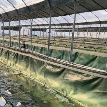 水产养殖温室大棚成套大棚全国发货上门安装