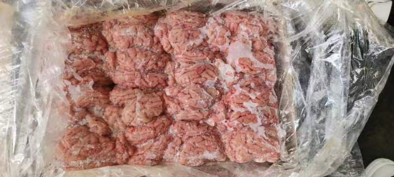 特级猪脑花，96个，6版装，鲜活，好鲜活，