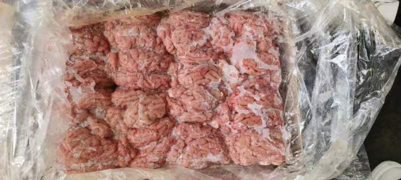 特级猪脑花，96个，6版装，鲜活，好鲜活，