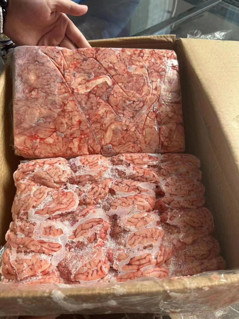 特级猪脑花，96个，6版装，鲜活，好鲜活，