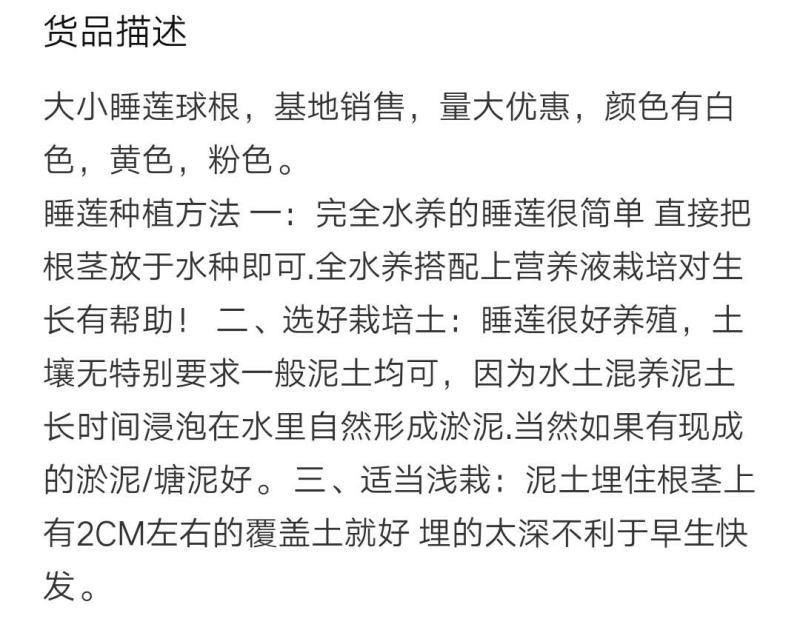 睡莲种根有白色，黄色，红色现货