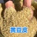 黄豆皮羊饲料实验材料无土无尘营养高常年供货