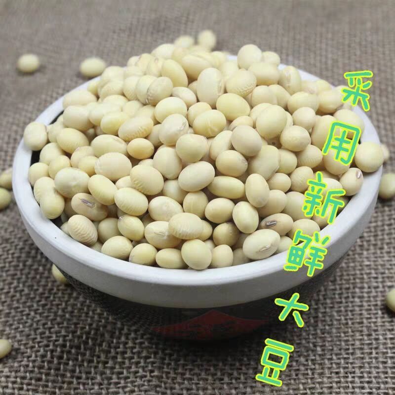 黄豆皮羊饲料实验材料无土无尘营养高常年供货