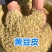 黄豆皮羊饲料实验材料无土无尘营养高常年供货
