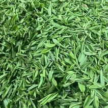南阳绿茶富硒绿茶产地一手货源量大从优保质保量