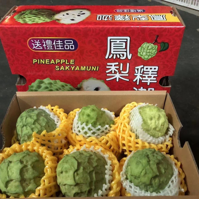 释迦释迦释迦释迦释迦释迦释迦释迦释迦释迦释迦释迦释迦